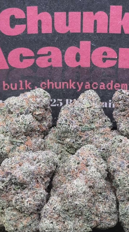 #AA765 - Kit Kat (Hybrid)