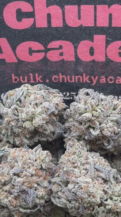 #B893 - Guava Pancake (Hybrid)