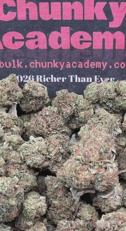 #FK113 - Green Timber (Hybrid)