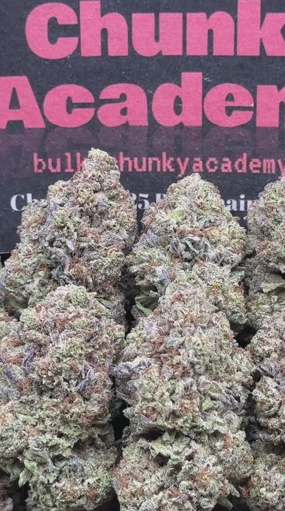#B863 - Papaya Mintz (Indica Hybrid)