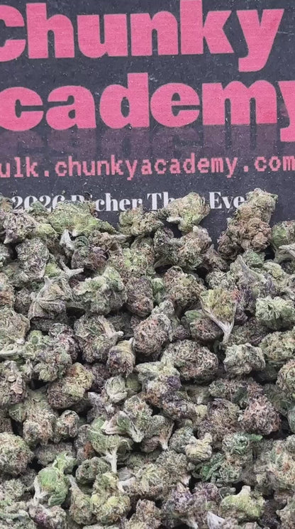 #SS518 - Lemon Cherry SM (Hybrid)