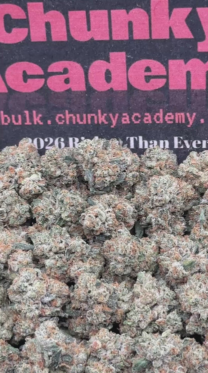 #KAM313 - Berry Glow SM (Hybrid)