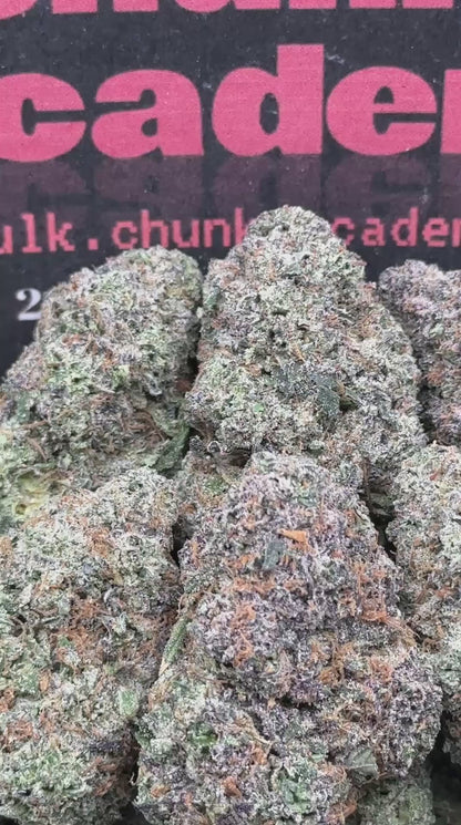 #A094 - Ivory Gelato (Hybrid)