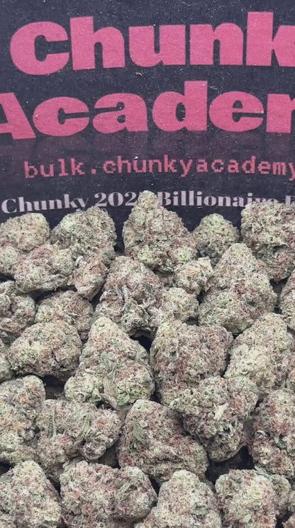 #SS261 - Polar Pack SM (Hybrid)