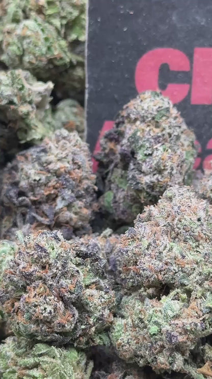#A098 - Golden Mochi (Hybrid)