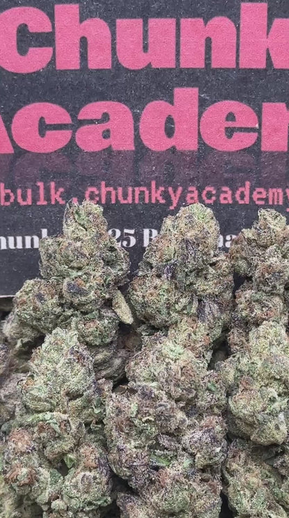 #B928 - Plum Berry (Hybrid)