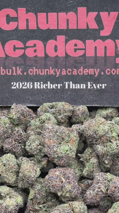 #EA541 - Cap Junky (Hybrid)