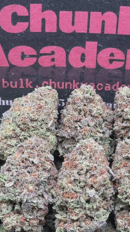 #B800 - Purple Rainstorm (Indica Hybrid)