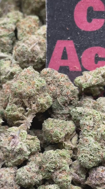 #S037 -Woodland Market SM (Indica)