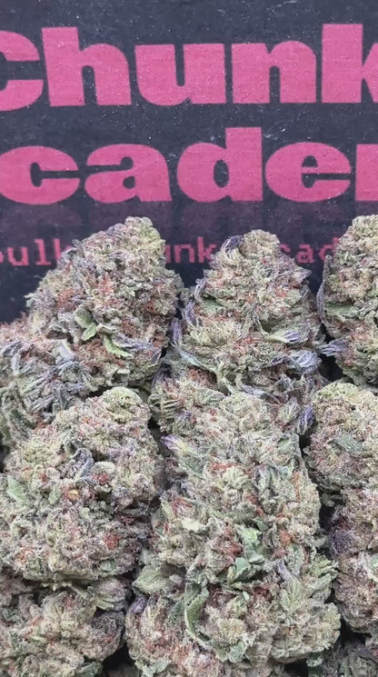 #FK072 - Mochilato (Hybrid)