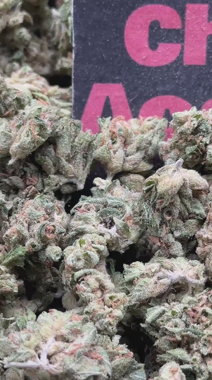 #S080 -Oakstone Ridge SM (Indica)