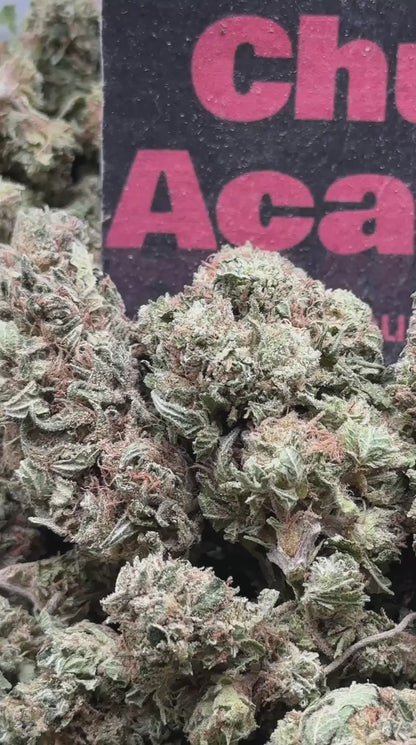 #B031- Alder Reserve (Hybrid)