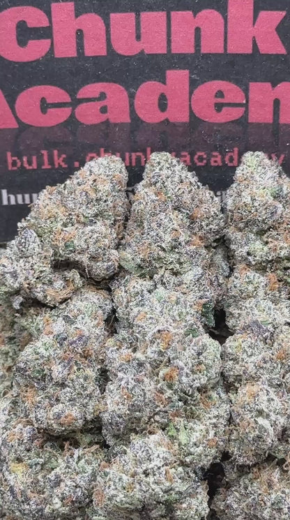 #RAP511 - Lemon Candy Gusherz (Hybrid)