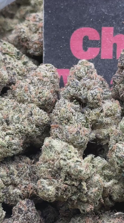 #KI103 - Cherry Monarch (Hybrid)