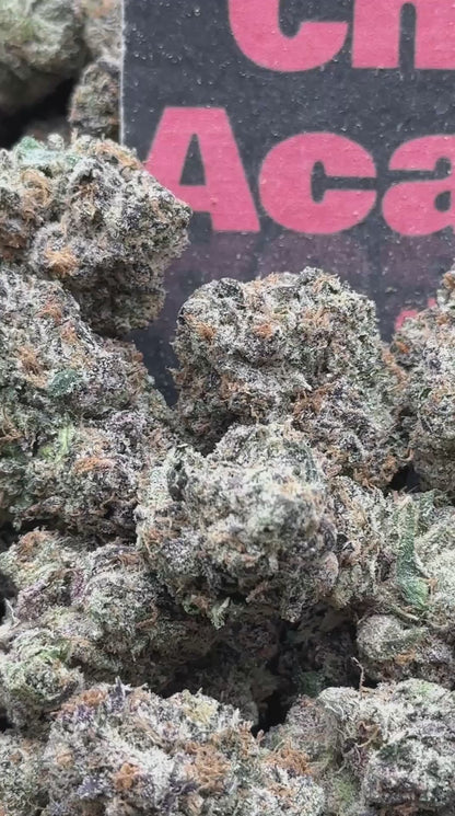 #IN753 - Elite Macaron (Indica)