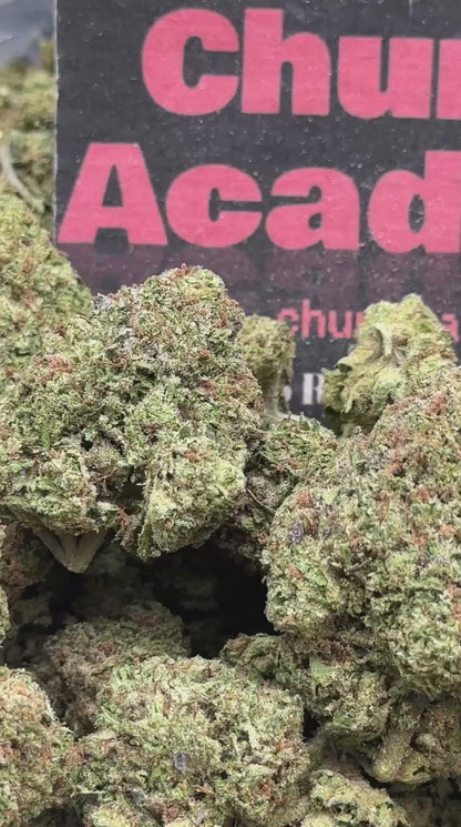#IP002 - Maple Orchard (Hybrid)