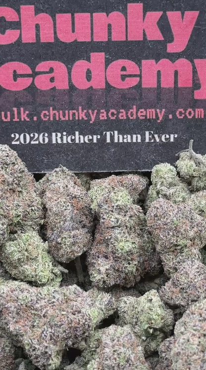 #EA509 - Lime Candy Sherbet (Hybrid)