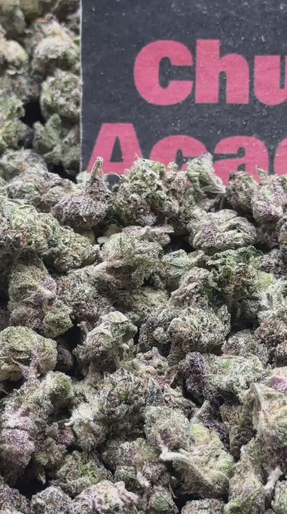 #S086 - Amber Trail SM (Hybrid)