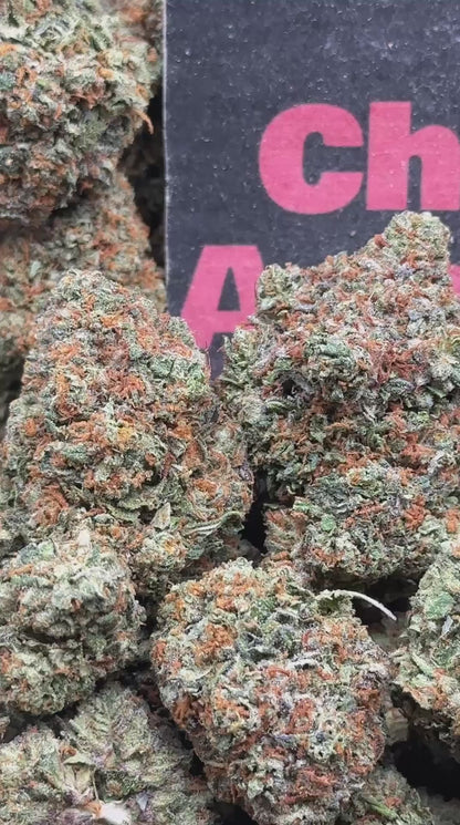 #IP037- Morning Grove (Sativa)
