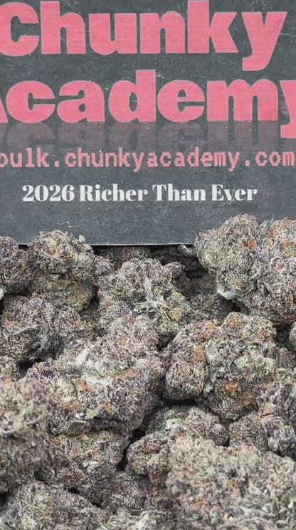 #EA582 - Honey Bun (Hybrid)
