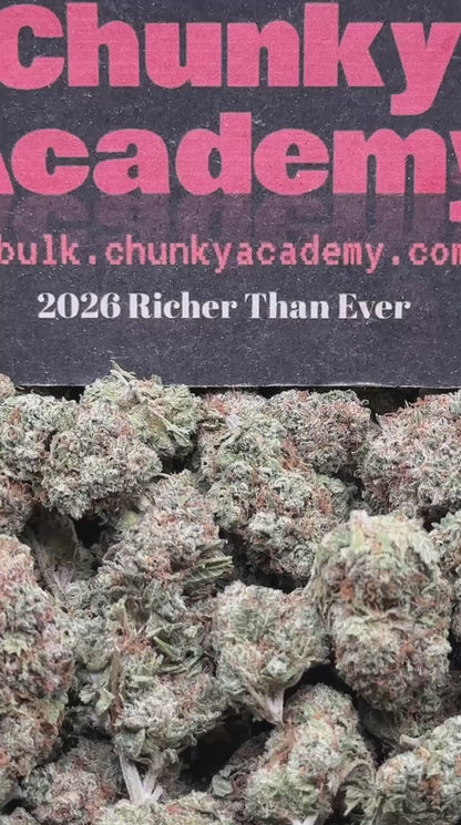 #EA538 - 9 LB Hammer (Indica)