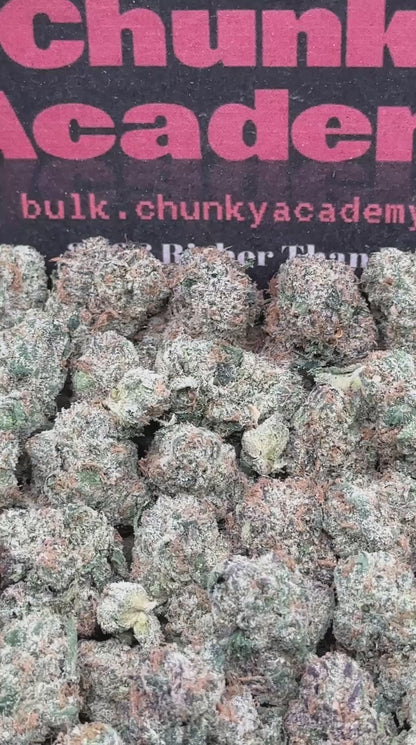 #KAM302 - Orange Sherbet SM (Hybrid)