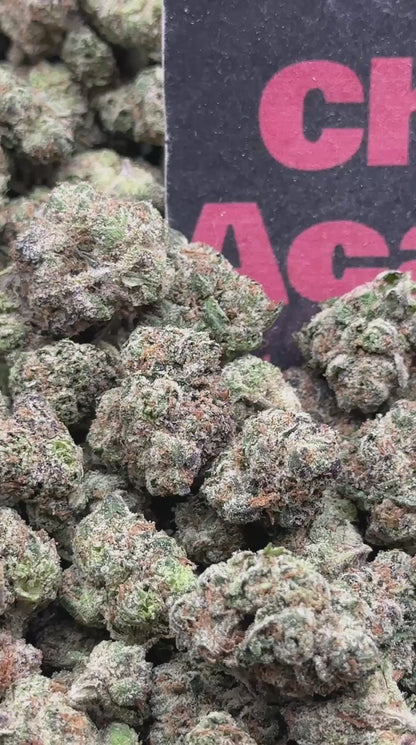 #S062 - Summit Grove SM (Sativa)