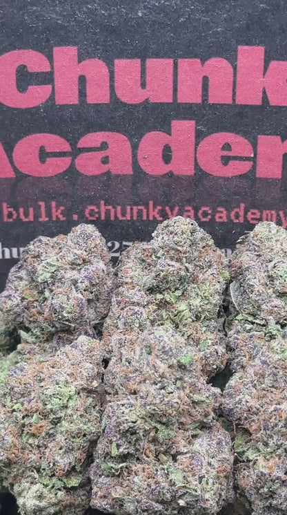 #AA799 - Cashew Butter (Hybrid)