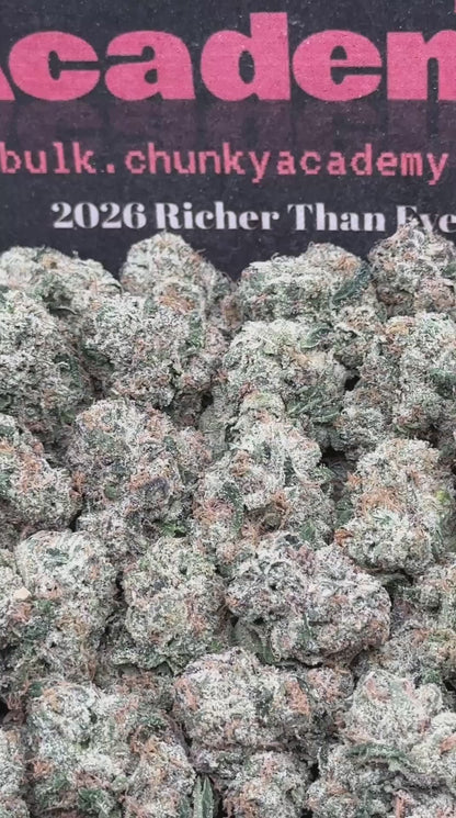 #KAM307 - Wonder Bread (Hybrid)