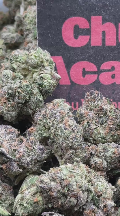 #A052 - Golden Parfait (Indica)