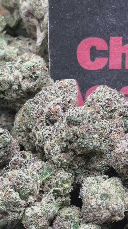 #IN766 - Crown Biscotti (Hybrid)