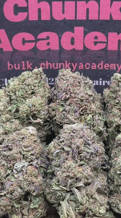 #B853 - White Orchid (Hybrid)