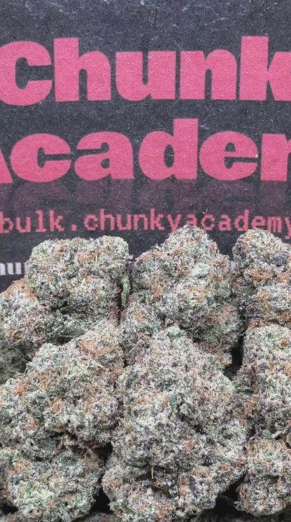 #IN708-Chocolate Lava (Hybrid)