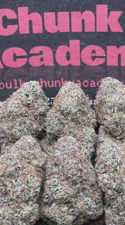 #AA813 - Kiwi Splash Gumbo (Hybrid)