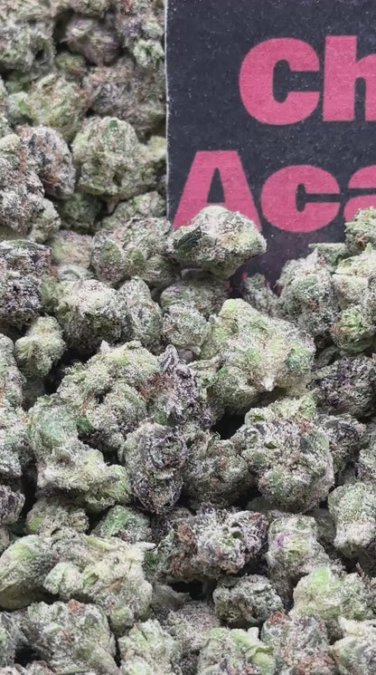 #S055 - Golden Biscotti SM (Hybrid)