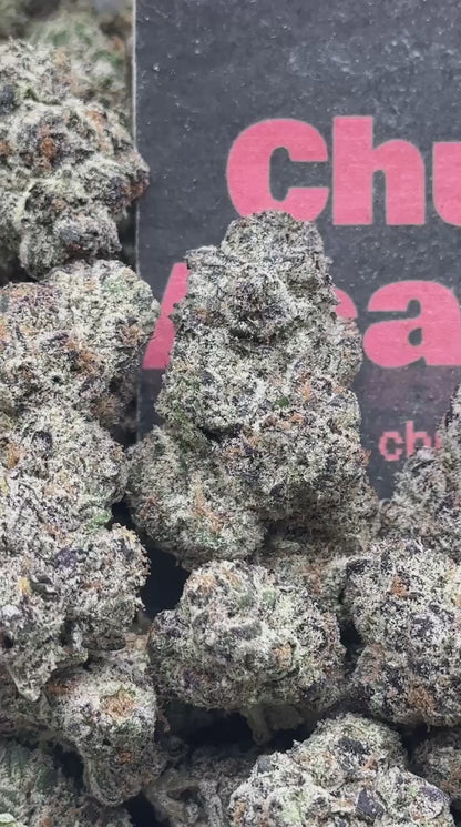 #A101 - Cream Royale (Hybrid)