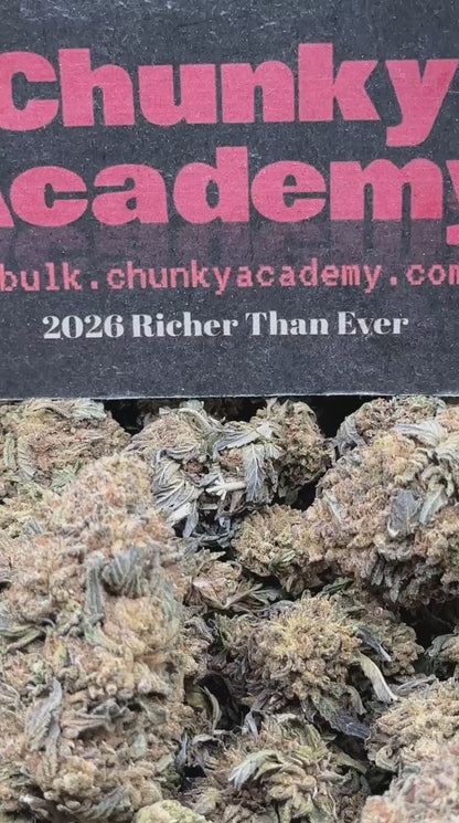 #FK135 - Blueberry Muffin (Hybrid)