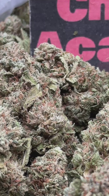 #B029- Timber Creek (Indica)