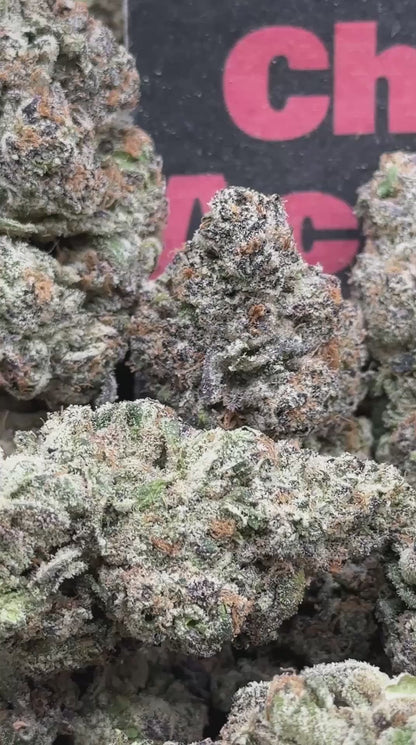 #TD001 - Crown Cannoli (Hybrid)