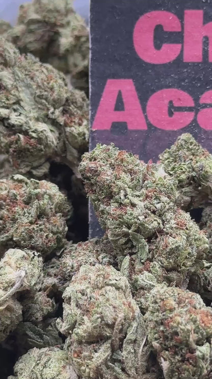 #IP009 - Cedar Grove (Indica)