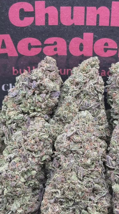 #B841 - Triple Scoop (Hybrid)