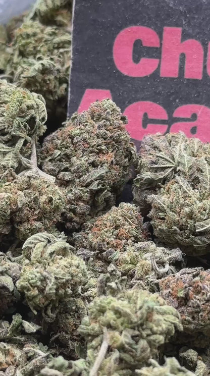 #B011 - Oak Timber (Sativa)