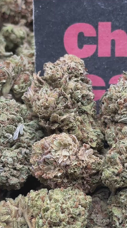 #B061 - Canyon Timber (Sativa)