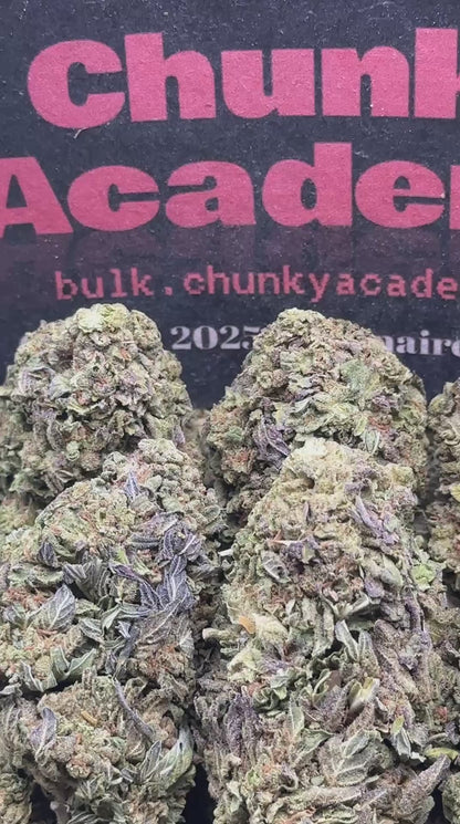 #L583 - Coconut Horchata (Indica)