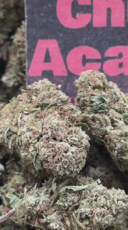 #B052 -North Ridge (Indica)