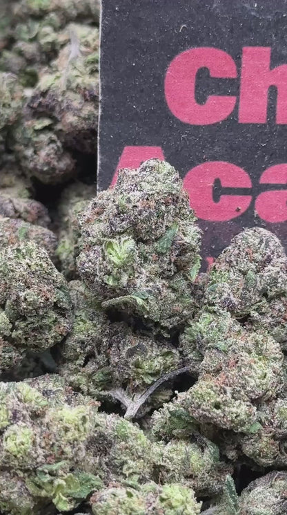#A032 - Purple Gelato (Hybrid)