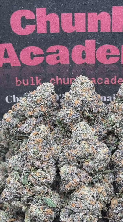 #AA631 - Creme Brûlée (Hybrid)