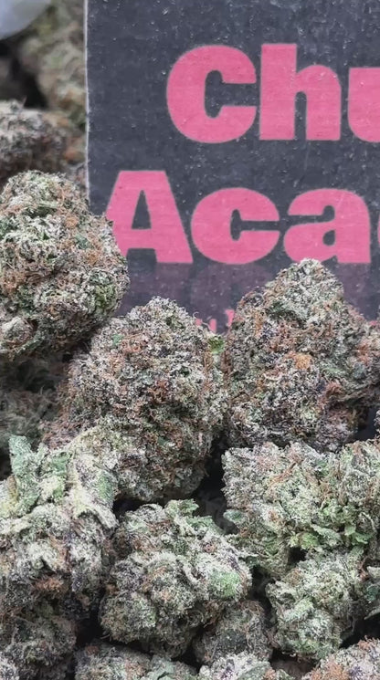 #A028 - Blue Sherbet (Hybrid)