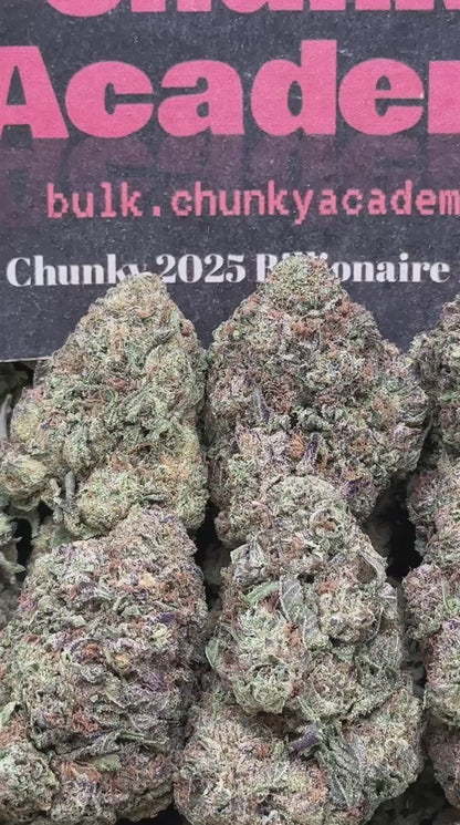 #B929 - Custard Drift (Indica)