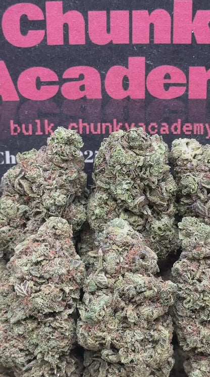 #L555 - Diesel Dough (Hybrid)